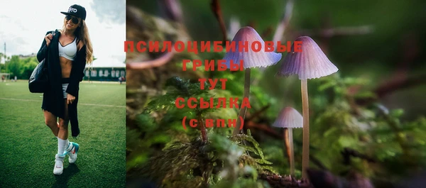 сатива Ветлуга