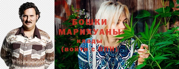 PSILOCYBIN Алексин