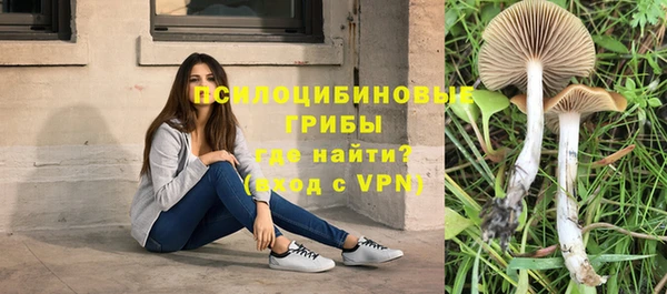 a pvp Алзамай